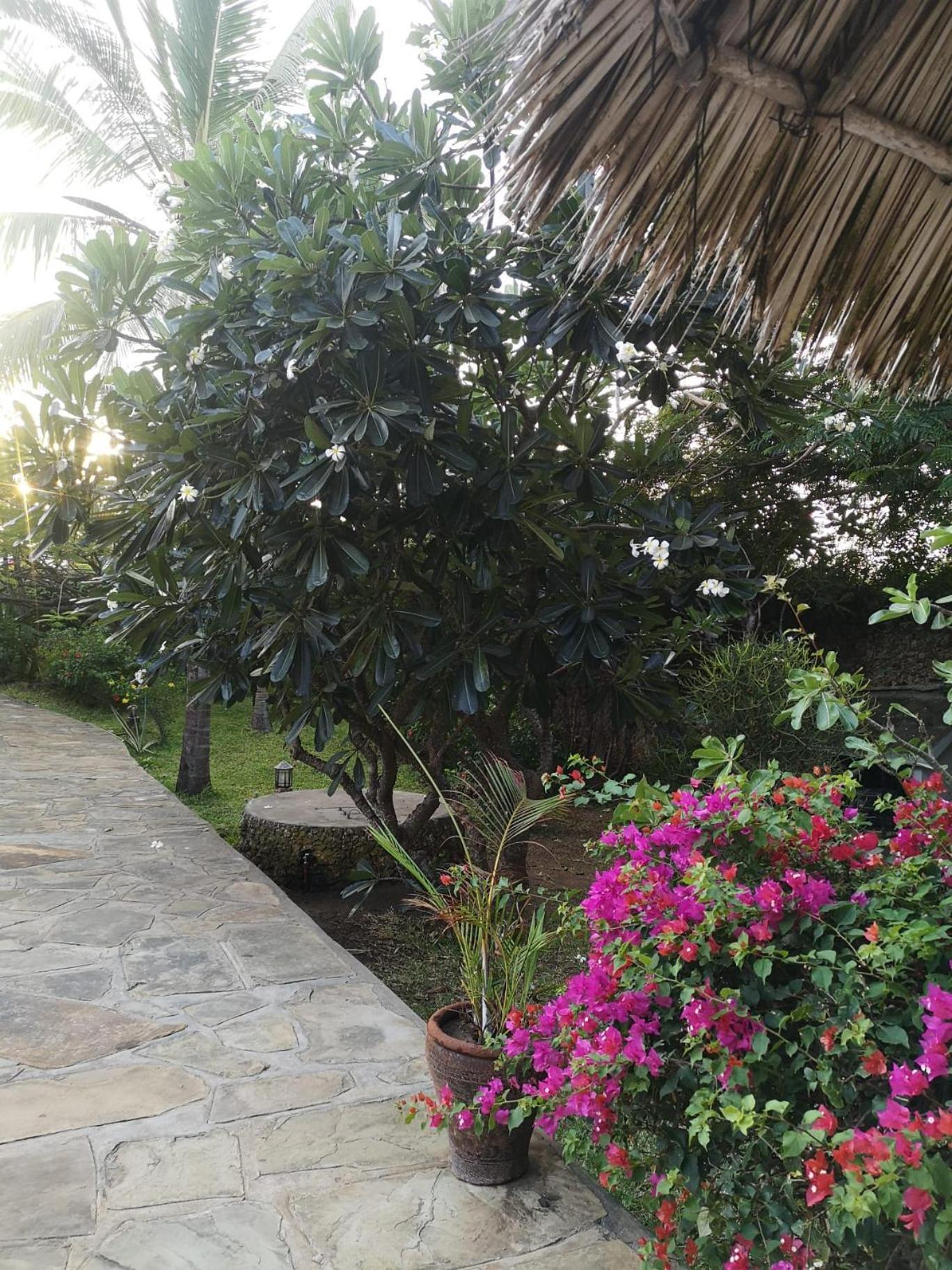 Willa Fulvia House Malindi Zewnętrze zdjęcie