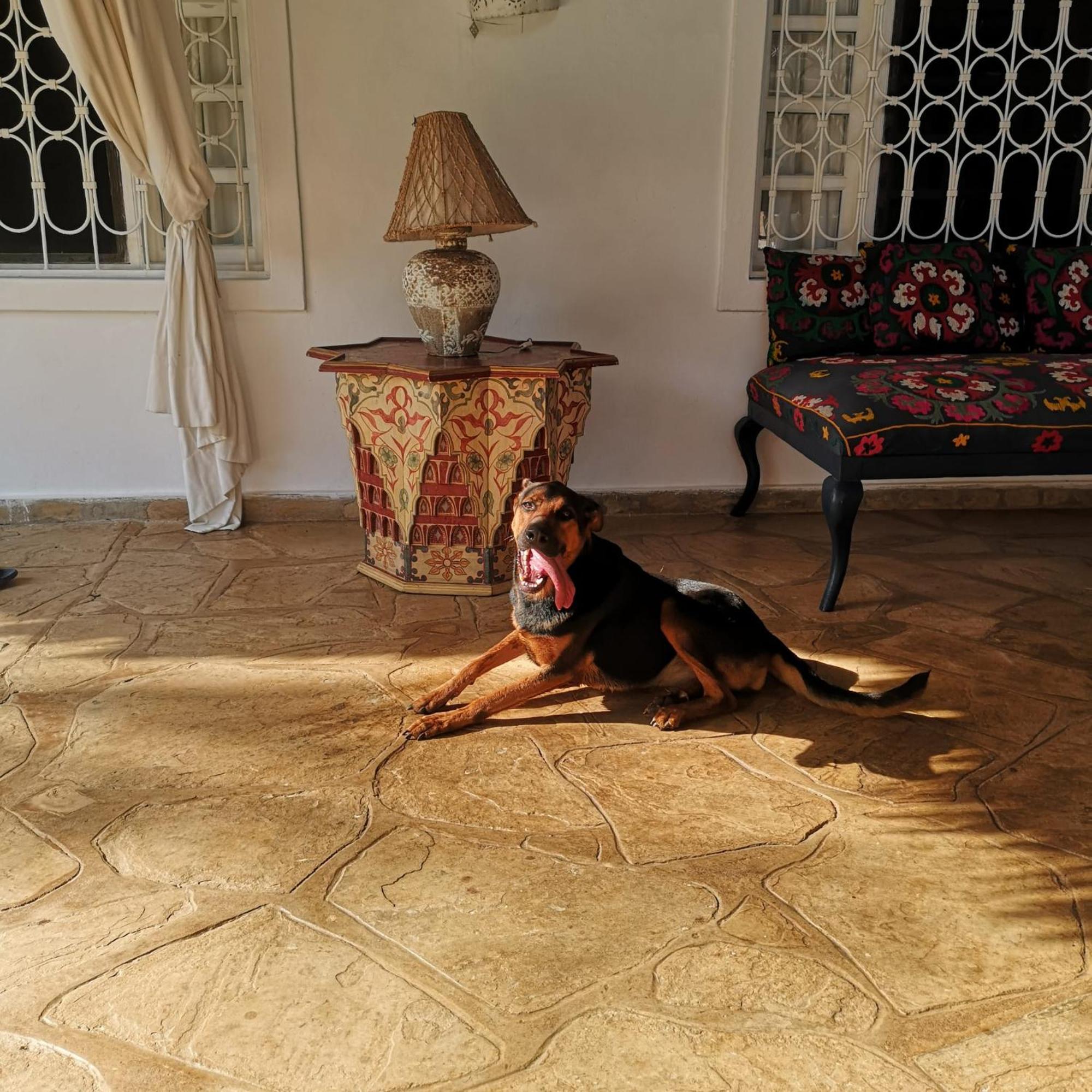 Willa Fulvia House Malindi Zewnętrze zdjęcie